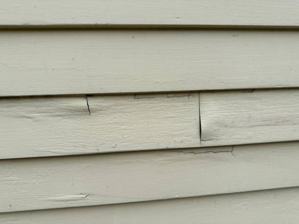 Best Insulated Siding Installation  in Windham, OH